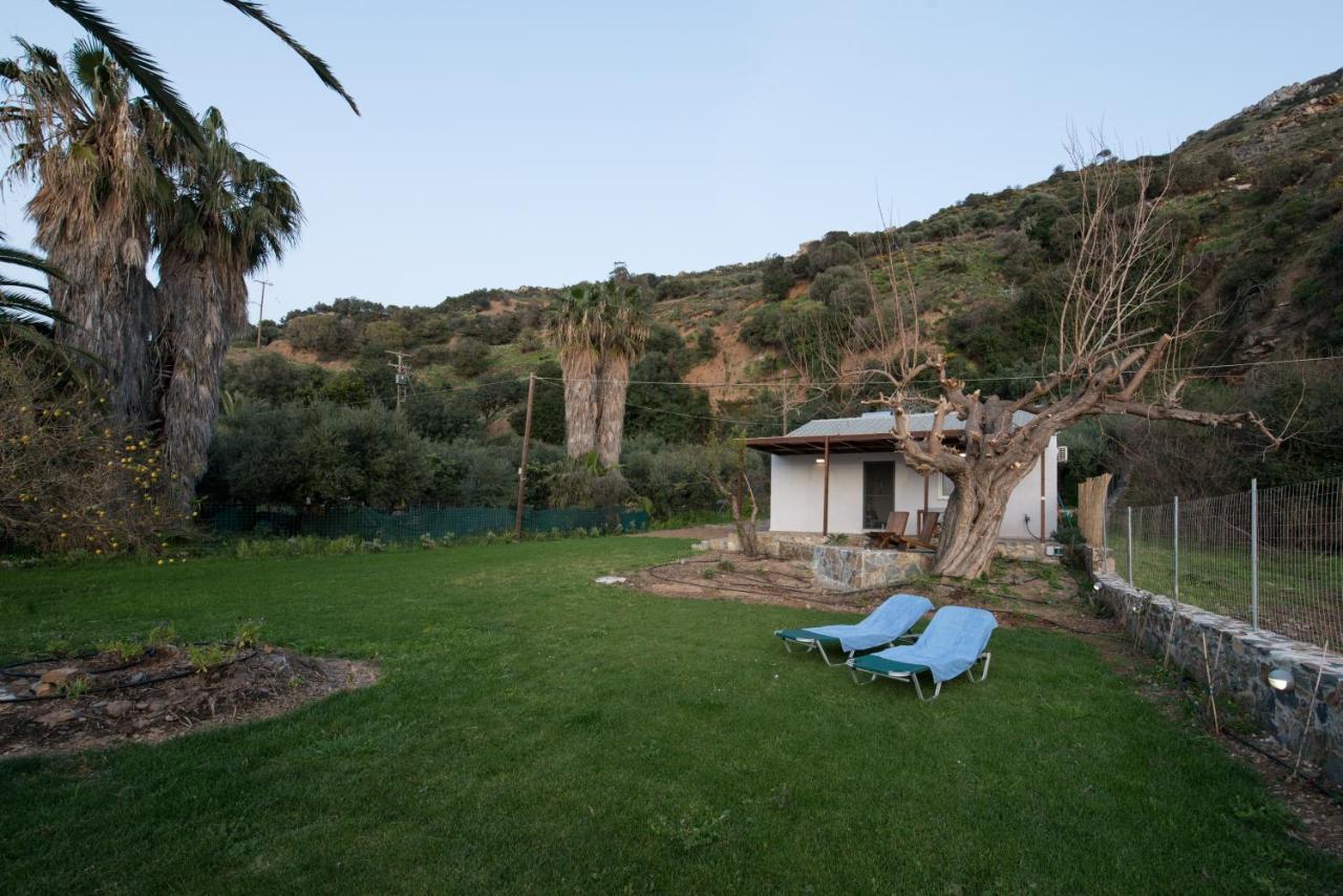 Jane'S House Villa Ravdhoukha Bagian luar foto